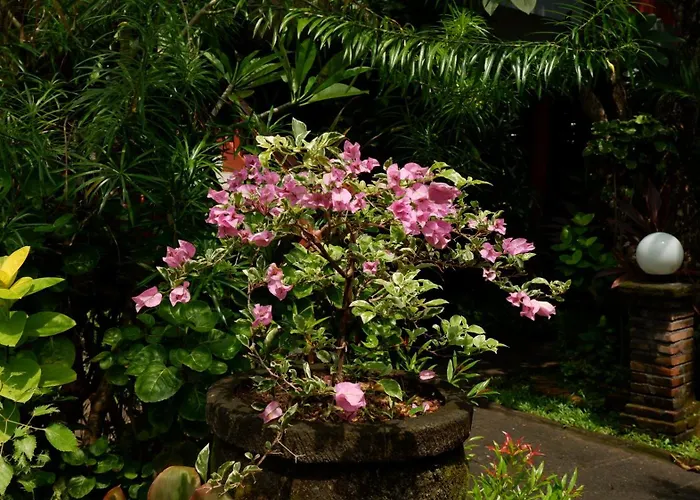 Swastika Sanur